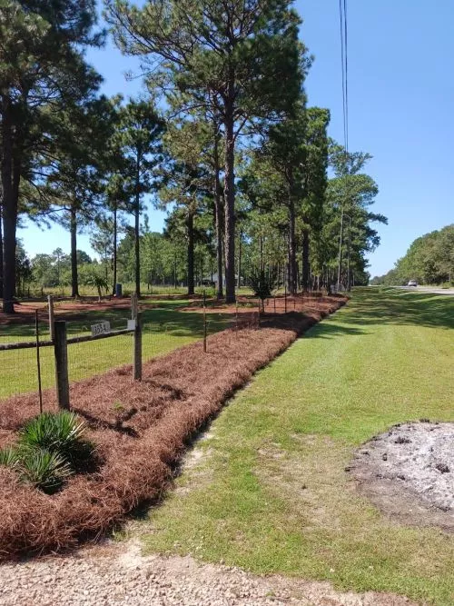 Recently hired them to do some much needed trimming and mowing. We agreed to space out the work to once a week over a few