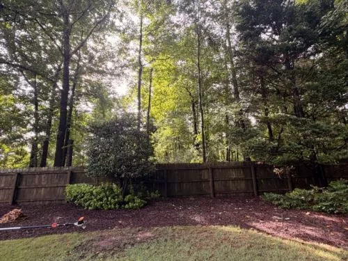 We had a great experience with Pierson Tree Solutions from start to finish