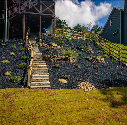 I’m writing this personal review of our experience with Willow Tree Landscaping 