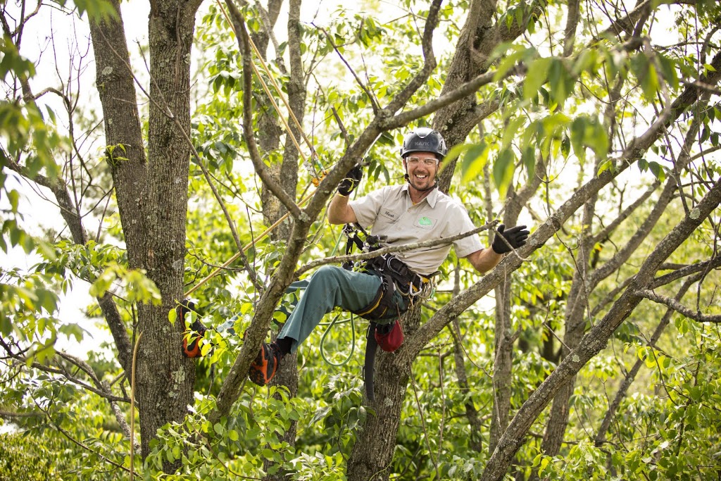 This guy is going to saunter up your driveway and greet you with a smile and a southern drawl that cannot be matched