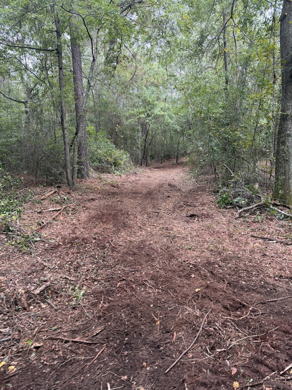 I highly recommend Brocato Land Care! They did an amazing job and exceeded my expectations