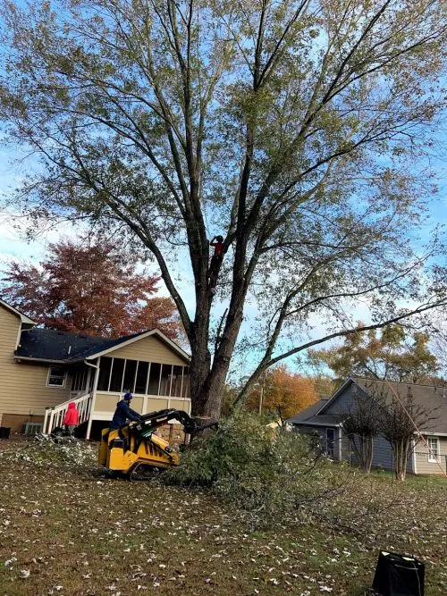 When tropical storm Zeta blew through our area, we lost a very large portion of a tall poplar tree that hit our home