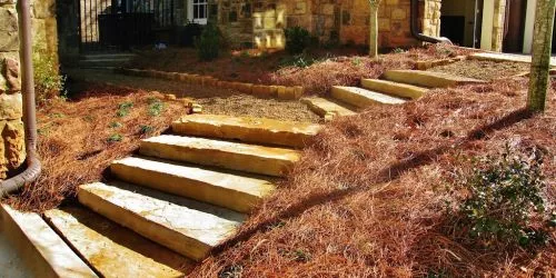 Duncan’s Green Team completely transformed our grass. It went from full of weeds, to completely green and weed free