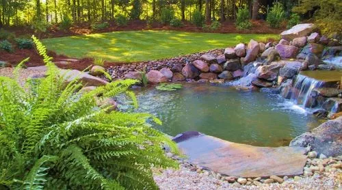 The Duncan Green Team is the only company I let handle my yard because they always do an exceptional job