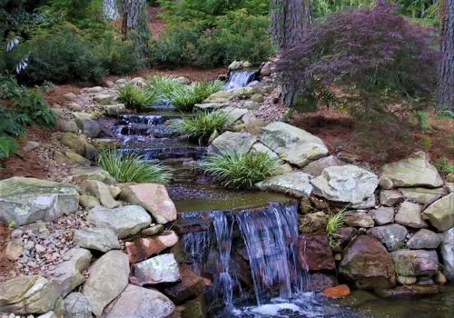 The Green Team has solved a lot of problems with my yard. They are helpful and knowledgeable about lawn care as well as