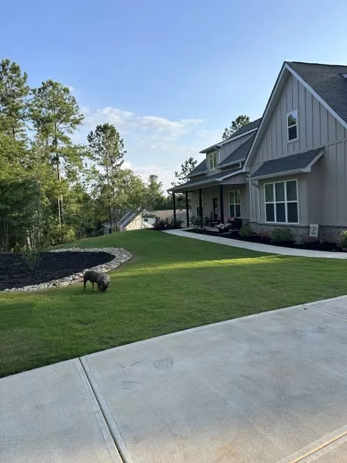 Duncan’s Green Team has done an exceptional job working on my lawn