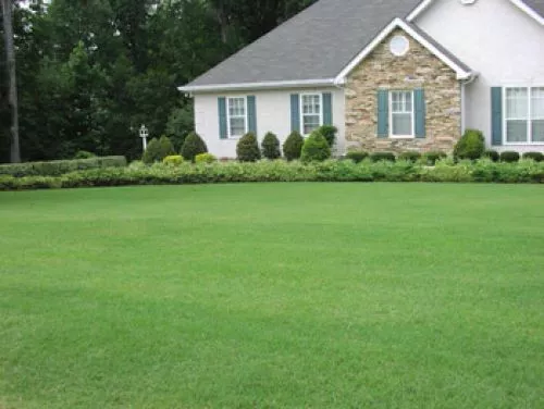 We couldn’t be happier with the quality and professionalism we experienced from Absolute Green’s fertilizer products and