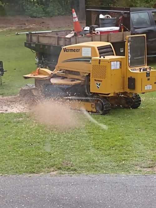  alt='Martins tree service removed 6 large pine trees from my fathers backyard that were dropping large limbs that had damaged'