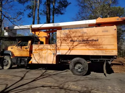 Martins tree service removed 6 large pine trees from my fathers backyard that were dropping large limbs that had damaged