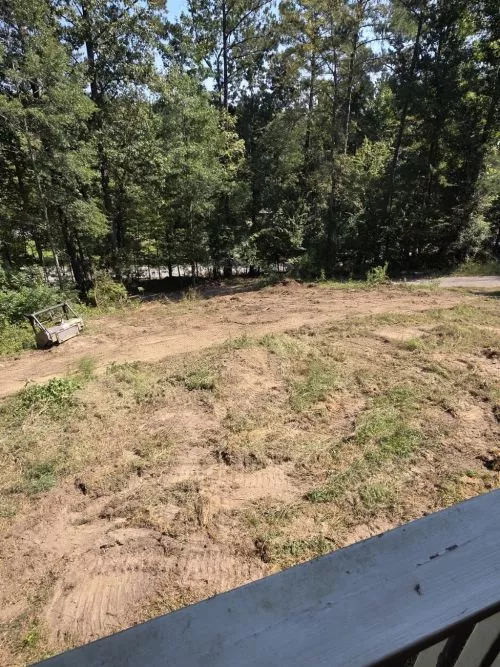 100% recommend Cross Cut Tree service for any “heavy duty” landscaping projects you have in mind