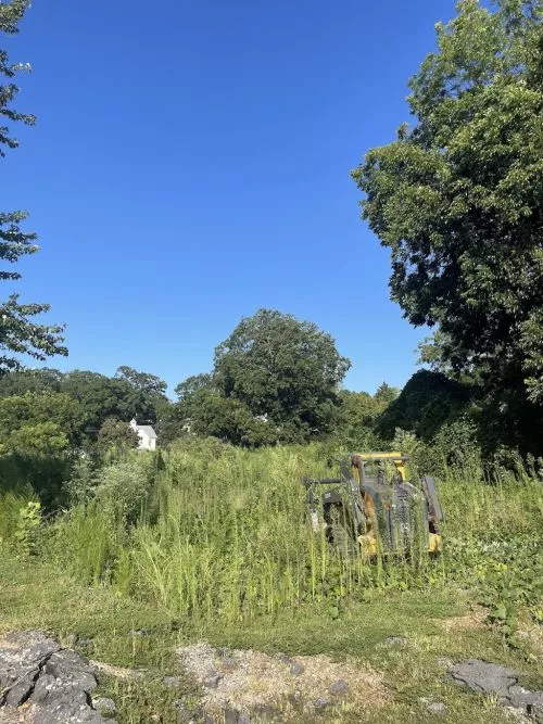 We have a 5-acre property where the area surrounding our home had gotten heavily overgrown with privet, fallen trees, and
