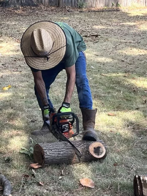 reliable and hardworking. Cleaned up everything. highly recommend Tree MD!