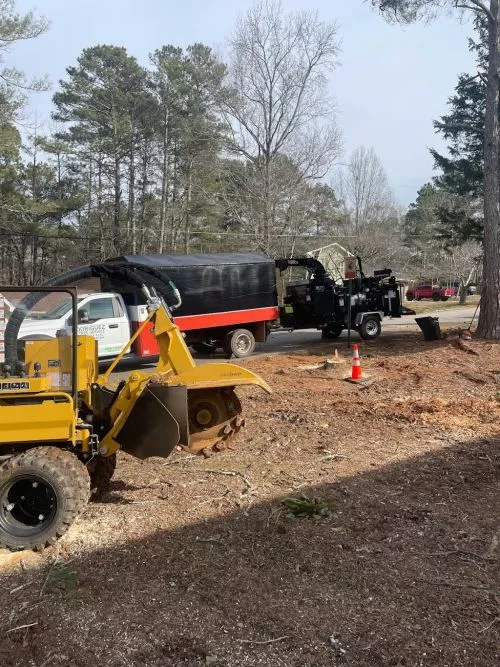 Super fast, accurate and fairly priced! This crew can handle your tree removal needs including stumps very quickly and