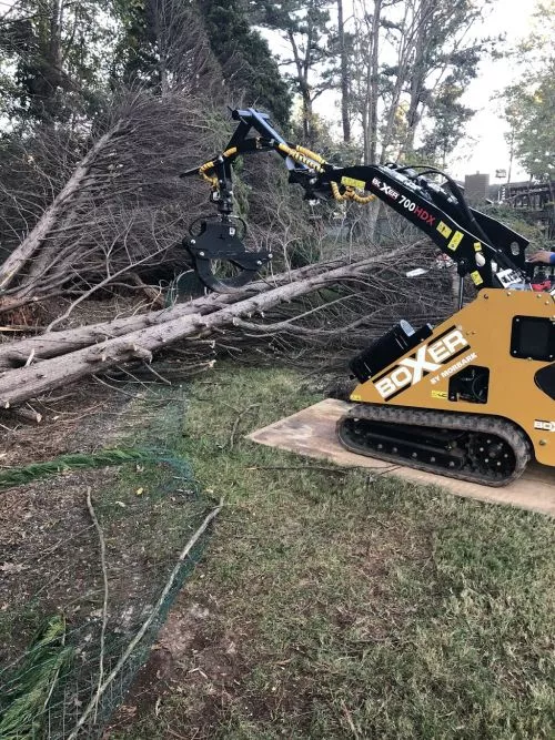 These folks are efficient, professional, and friendly. They removed 10 trees, ran all the branches through a monster