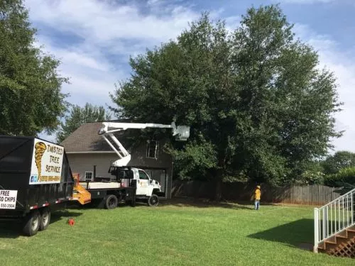 I called Twisted Tree Service and within 12 hours Clint, a representative with the company came out to get me an estimate