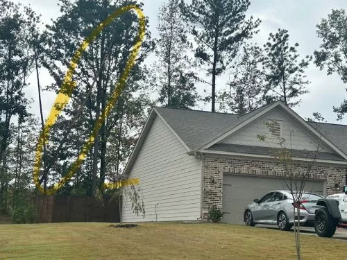 I had a large tree fall on my house. I called Robert on a Sunday and he immediately answered