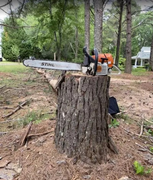 Professional and friendly crew at Atlanta R Tree Service. They made sure we were satisfied