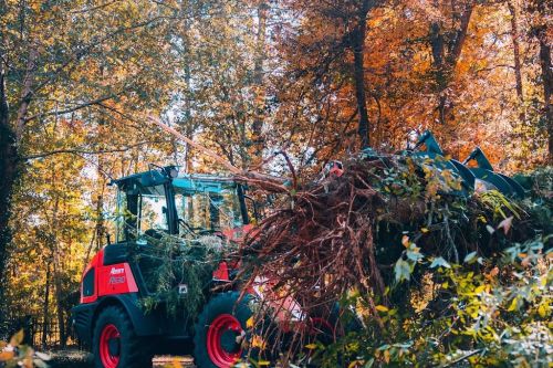  alt='JD and his crew are excellent at removing trees and stumps. They cleared underbrush in my back yard and it made all the'