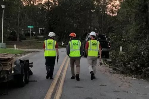 I"ve used AKA Tree Service twice: 2020 and 2021. I wouldn"t have given them my repeat business if I hadn"t had an excellent