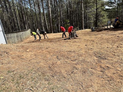  alt='These guys are great. The team removed three big trees on my property this week, trimmed several cross branches on other'