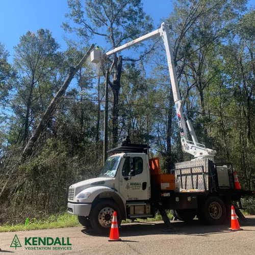 I did NOT hire this company. The power company sent these people out to trim trees around the power lines