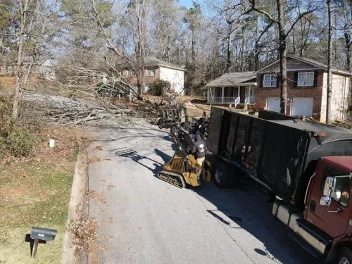 After other companies wouldn’t even call me back, Gonzalez was on site and had the trees that fell on my house removed in