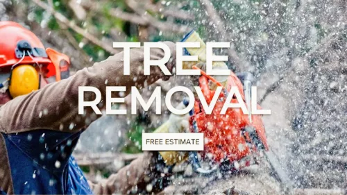 Our Home Owners Association in Valdosta Georgia hired Strickland Tree Removal Services to have 1 large tree removed, 5