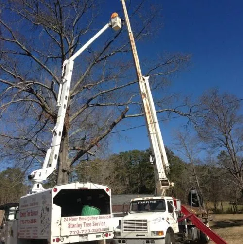 Met with Doug at 11:00 to look at job. One big leaning oak and 2 average pines gone, cleaned up, and stumps ground by 4:00