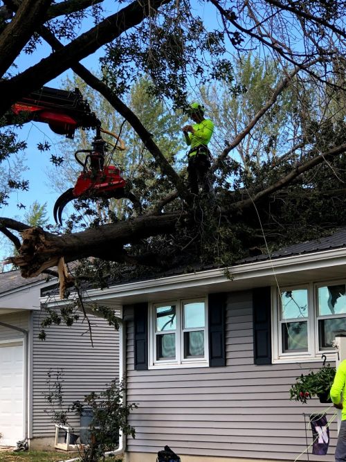  alt='If I could give these guys 10 STARS I would. About 5:30 pm on a Thursday, a giant tree fell through our roof during a'