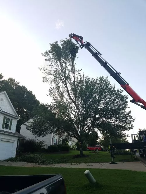 I live in Iowa and Mark and his crew came up to help our city after a Derecho or land hurricane devastated our city and