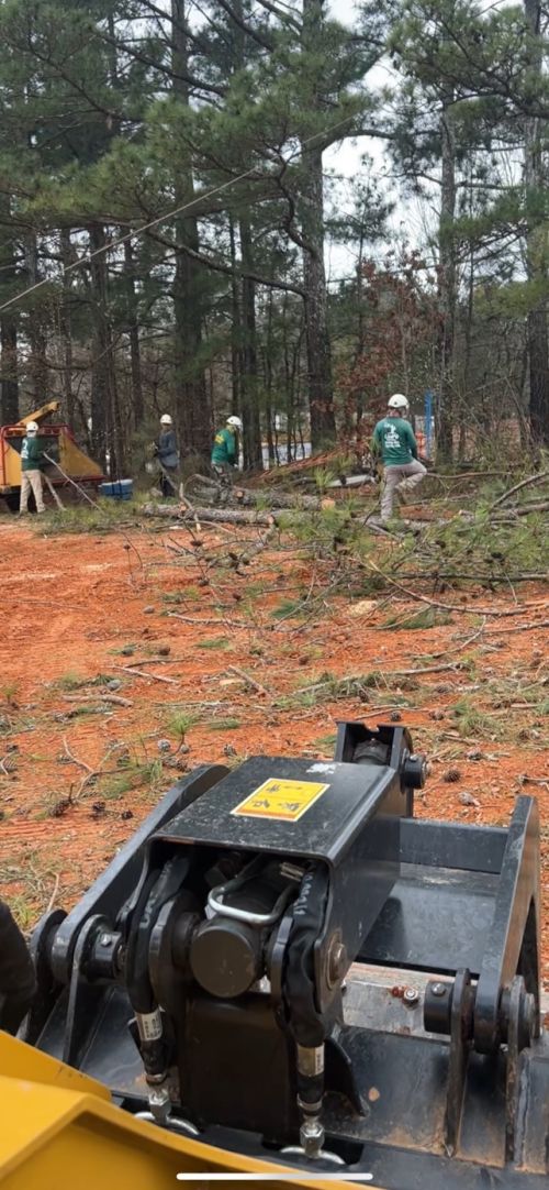  alt='Excellent tree removal service. We had 20+ trees removed from our backyard'