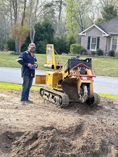 Need a stump removed from a rental property. I called on a Monday the job was done to my satisfction the very next day