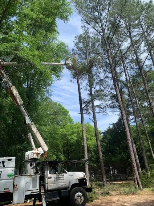 Scott"s Quality Tree Removal Service swiftly and safely removed four trees that were endangering my home