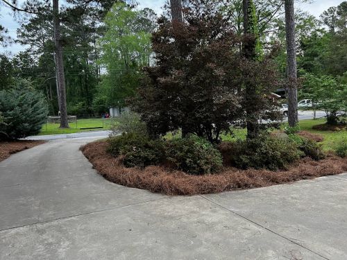  alt='Fantastic workers. Did a great job clearing my fallen trees after hurricane Irma hit. '