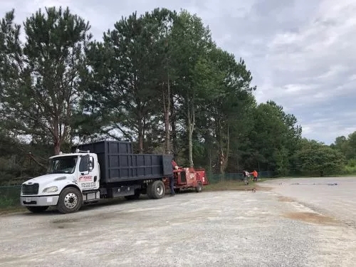 Forest Tree Care came out to give me a quote on removal of two trees and pruning of another