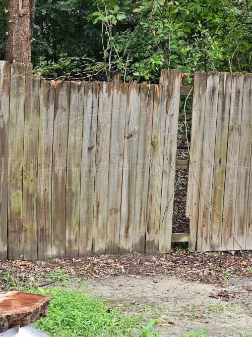 Today, 10th of January 2020, Mr. Wilkerson trimmed trees, grinded stumps, removed two huge trees over 50 feet and cleared