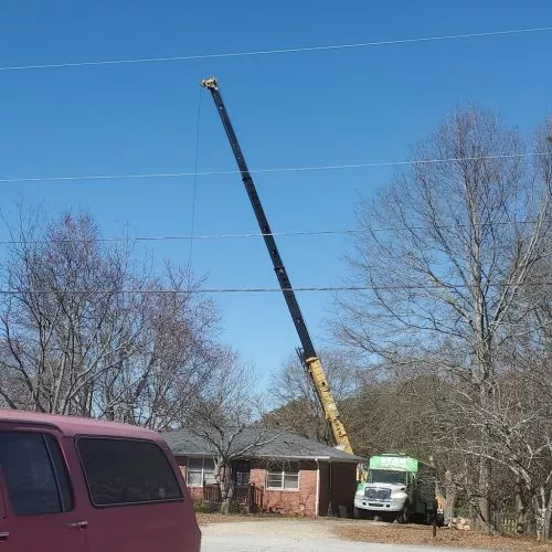 I always use the same tree service out of Snellville. However, due to the size orientation and technicality, I was forced