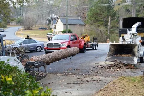 We had Armstrong remove one tree and trim up a large oak. Felipe came out and gave my husband a quote and answered all