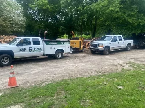 Tim"s Tree Service did an excellent job and went over and beyond what I initially asked for