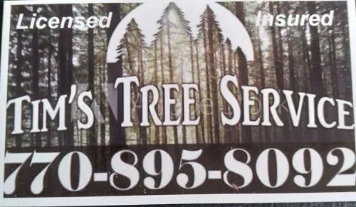 The crew that did our job from Tim"s Tree Service were excellent