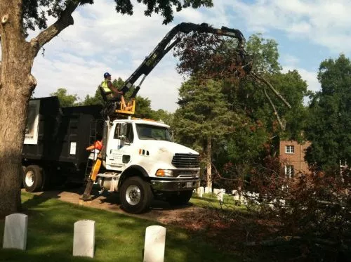 I recently had the pleasure of hiring Appalachian Tree Service to address some overgrown trees on my property, and I