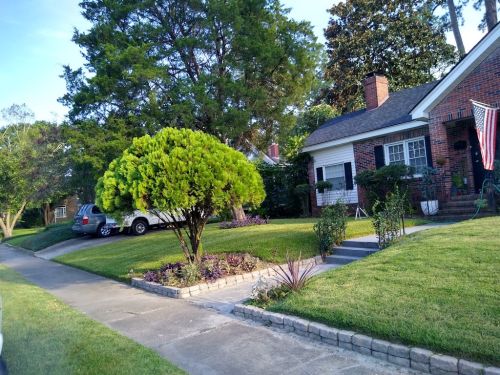  alt='The Morales lawn care did a amazing job on my yard they came the same day and gave me a great price they have done better'