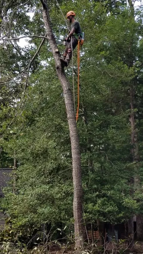 Jake helped me masterfully rescue a drone stuck on top of a 50-ft tree