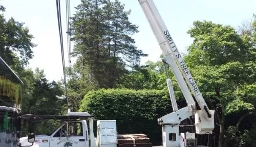 We had a great experience working with Smitty’s Tree Care from start to finish