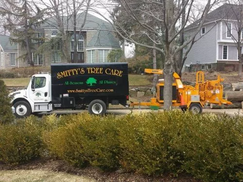 Smittys tree service is the best, most professional tree service I’ve ever used