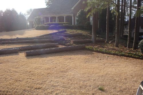  alt='We have used Redfern for many years. The very large oak that their crew removed yesterday was within 5 feet of our house,'