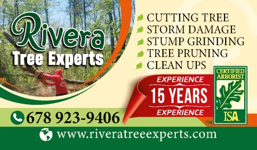 Our property has very large trees that needed pruning as many of the branches were extending over our house as well as the