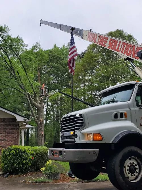 Awesome work… had them come out for tree cutting (2 big oak trees). 