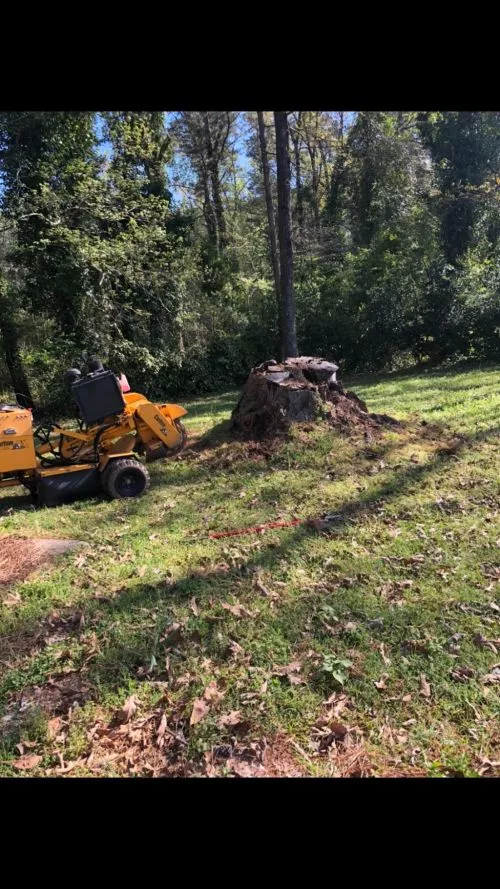 Ryan Jones was prompt. He did a great job. I highly recommend Lake Lanier Stump Grinding. 10/10