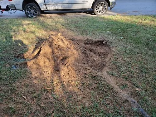 We have used R & R Tree Services to remove several trees. Tall Pine trees that were diseased, a huge White Oak tree that